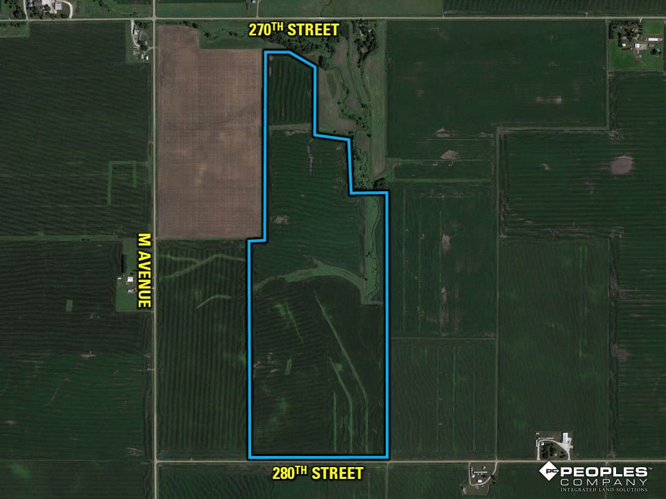 Listing Photo: Greene-County-Iowa-Farmland-Available-146-Acres-19686-Jefferson (25)
